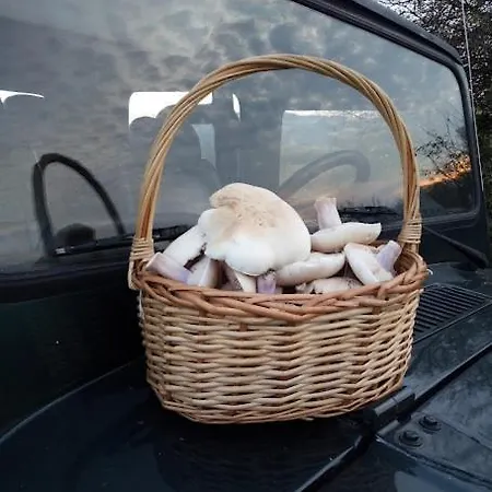 Apartmán Jelko Haz Terpes